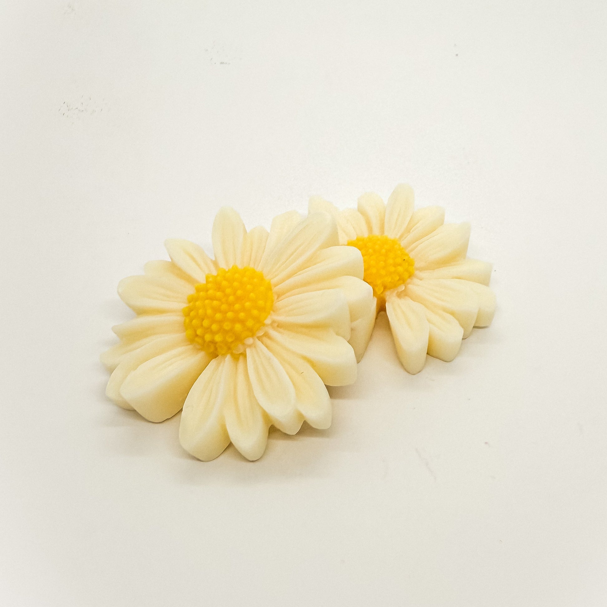 Malmequeres | Vela Aromática